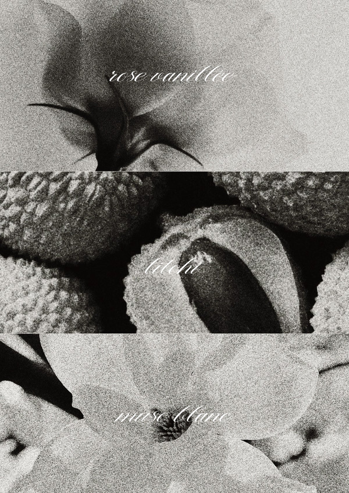 Bougie parfumée - Aphrodite