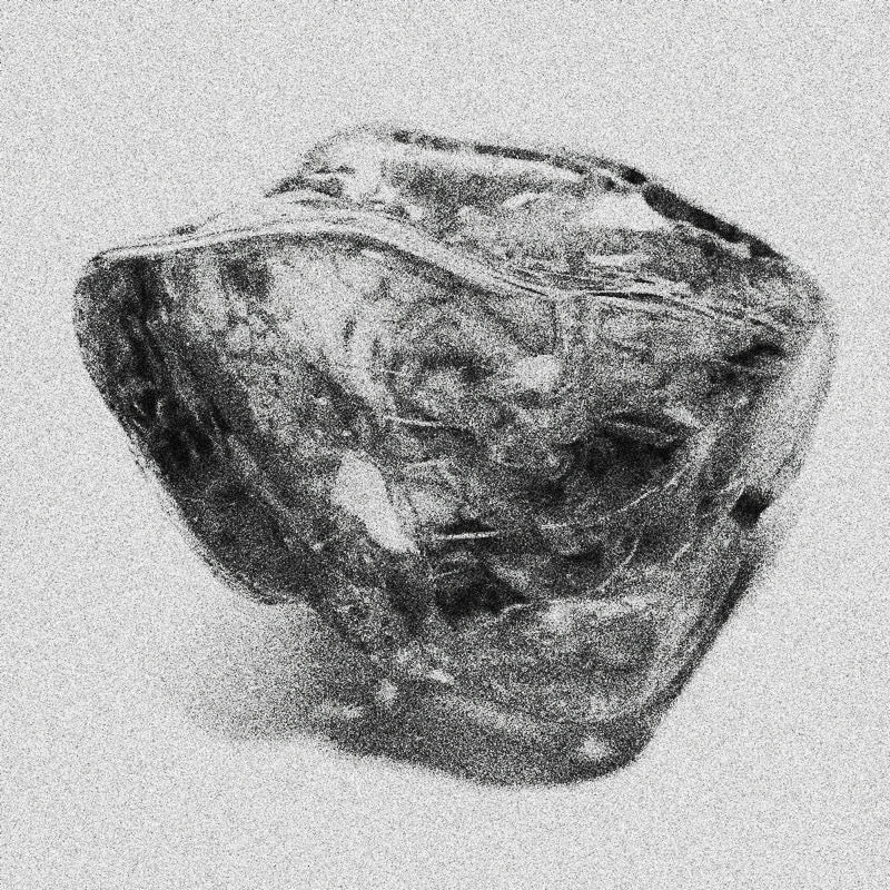 fondants parfumés - APOLLON