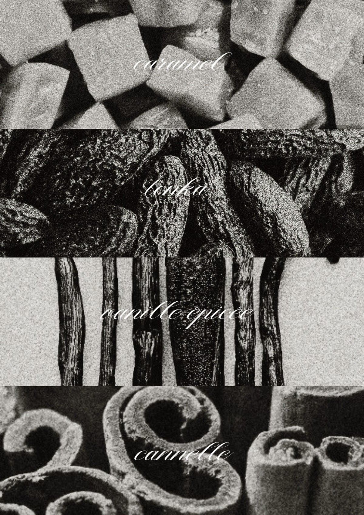 Bougie parfumée - Hestia